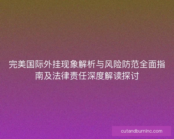 完美国际外挂现象解析与风险防范全面指南及法律责任深度解读探讨