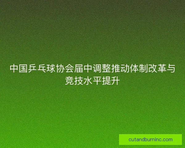 中国乒乓球协会届中调整推动体制改革与竞技水平提升