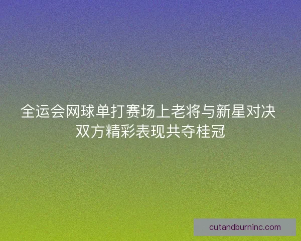 全运会网球单打赛场上老将与新星对决 双方精彩表现共夺桂冠