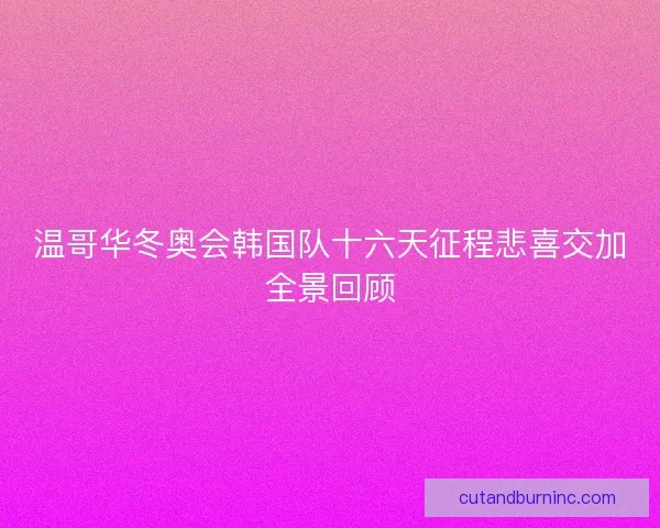 温哥华冬奥会韩国队十六天征程悲喜交加全景回顾