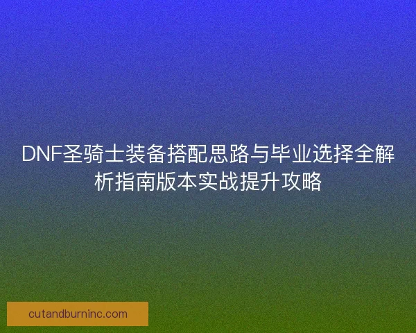 DNF圣骑士装备搭配思路与毕业选择全解析指南版本实战提升攻略