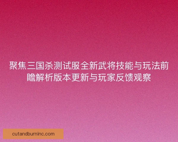 聚焦三国杀测试服全新武将技能与玩法前瞻解析版本更新与玩家反馈观察