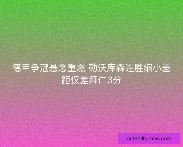 德甲争冠悬念重燃 勒沃库森连胜缩小差距仅差拜仁3分