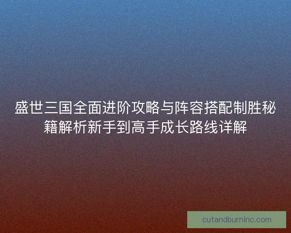 盛世三国全面进阶攻略与阵容搭配制胜秘籍解析新手到高手成长路线详解