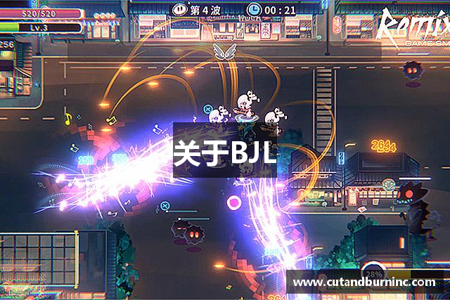 关于BJL